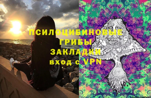 шишки Богородицк