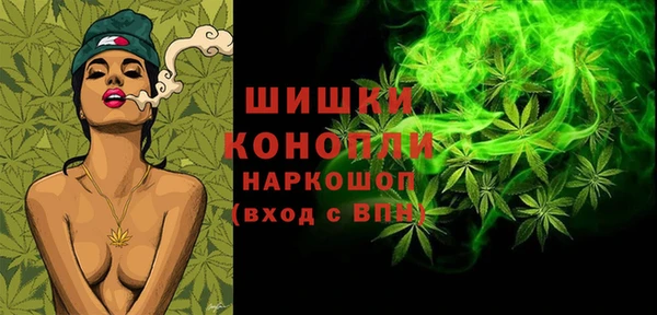 PSILOCYBIN Бородино